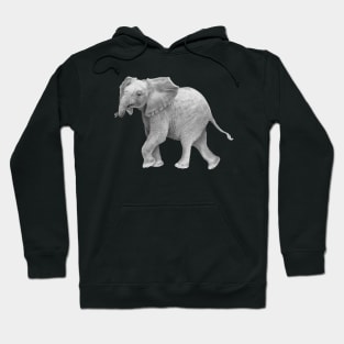 baby Elephant Hoodie